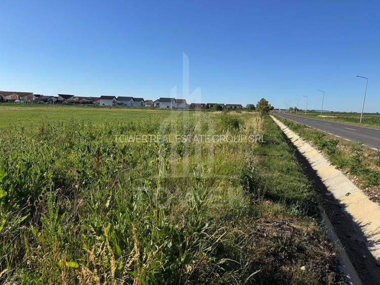 Teren 2500mp Sura Mica - Ocna Sibiului | 162.500 EUR - EXCLUSIVITATE - 5