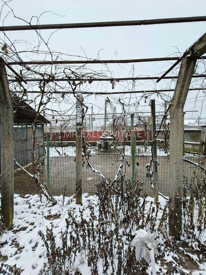 Proprietate rară – 2 case + livadă, vie și teren generos, la 20 km de Târgu Jiu - 10