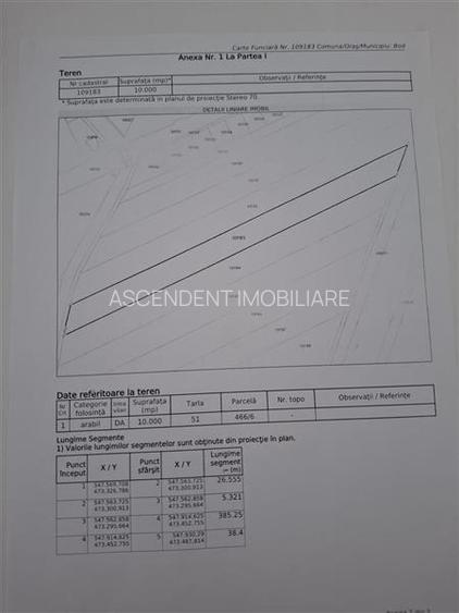 Teren intravilan 10.000 mp, parcelabil, plan, acces asfaltat, Bod, Brasov - 11