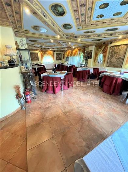 Arta si design in incantarea naturii, oportunitate rezidential/ turistic, Predea - 12