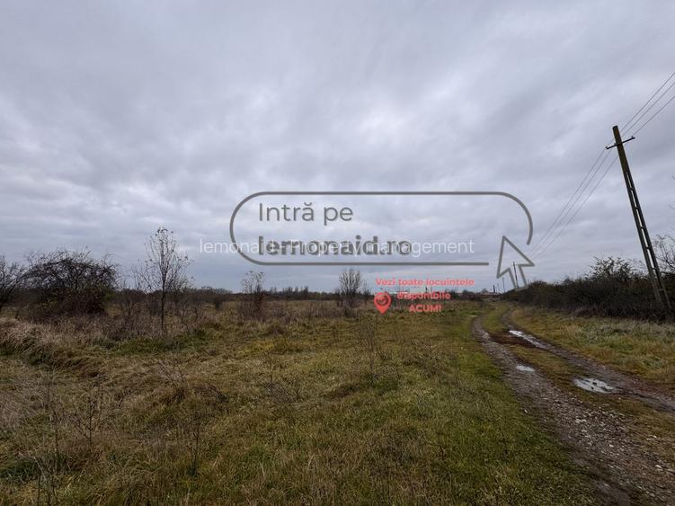 Teren Șag - intravilan agricol | 3.200 mp - 2