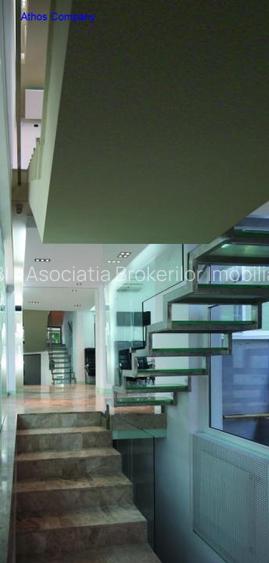 Vila cu 2 etaje si mansarda in zona Mihalache- Calea Grivitei - 3