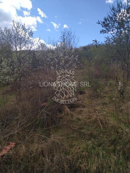 Casa P+M 3 camere 110 mp-teren 1400 mp-Zona Valea Jelnei - 15