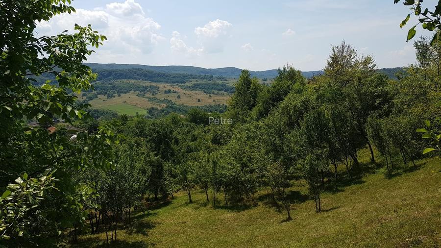 24.141 mp 1h30' de Bucuresti -  ideal casa sau complex retreat - 3