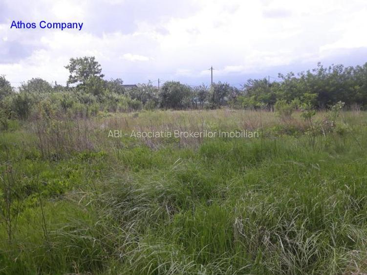 Teren Tartasesti - 3