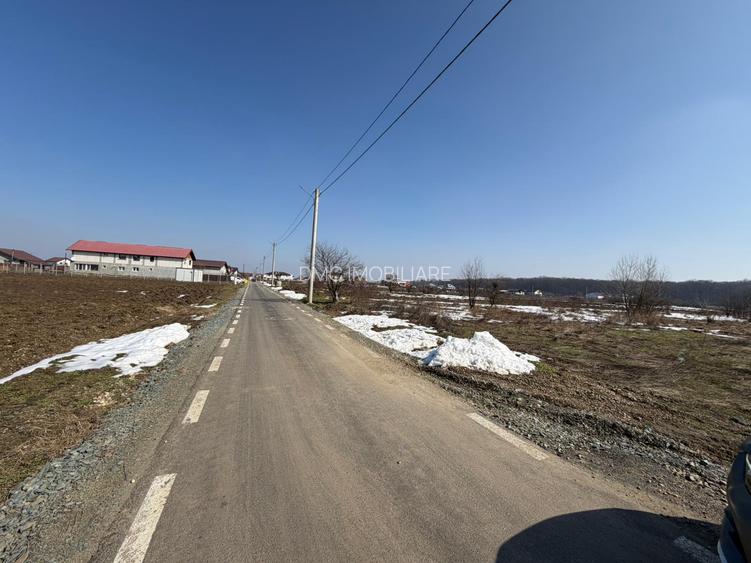 Domnești, teren langa pădure, 420mp, utilități,  deschidere 21ml, intravilan - 4