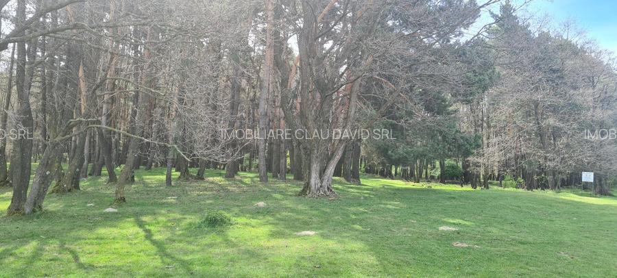 TEREN AGRICOL EXTRAVILAN - RECI - COVASNA - 8