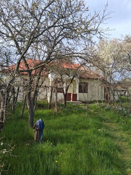 Teren intravilan cu casa batraneasca - 4