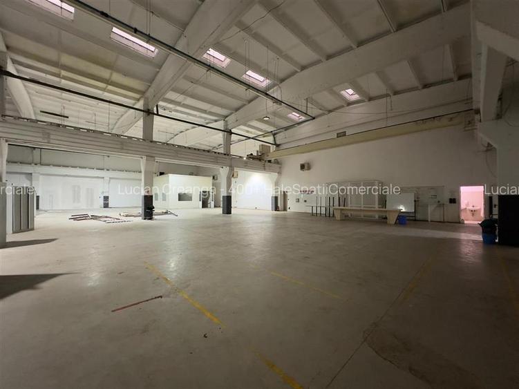 Hale Calea Chisinaului Iasi, aproape de Carrefour de la 65mp la 2000mp - 15