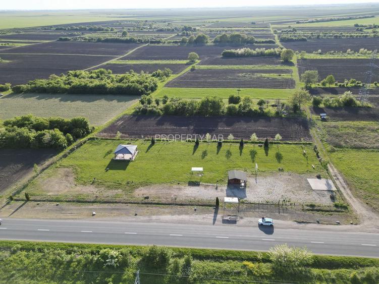 Închiriere platformă teren 4.000 mp Curtici - 12