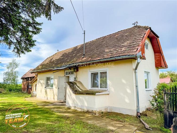 FILM! Casa pitoreasca + anexe + 1.500mp teren, Santionlunca, Covasna - 10