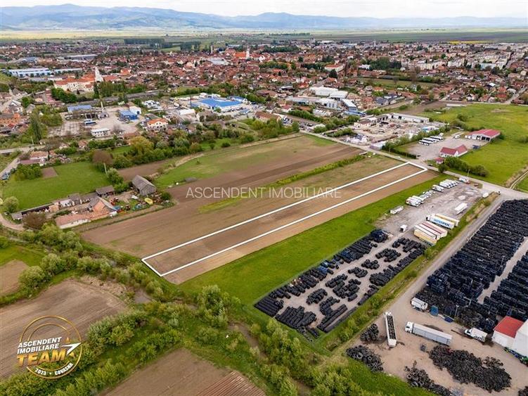 FILM! 5.000 mp teren, la marginea orasului Targu Secuiesc, aria industriala - 3