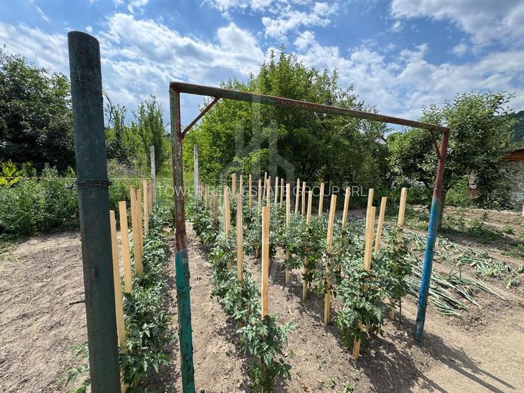 Casă spațioasă in Seica Mare - Centru | 92mpu 638mp teren - EXCLUSIVITATE - 6