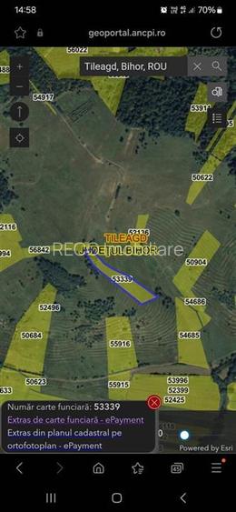 Reco  Teren extravilan Tileagd - 9