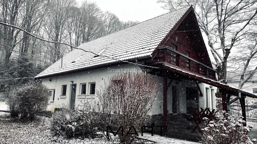 Casa de vacanta cu teren 2000mp Valea Avrigului - 2