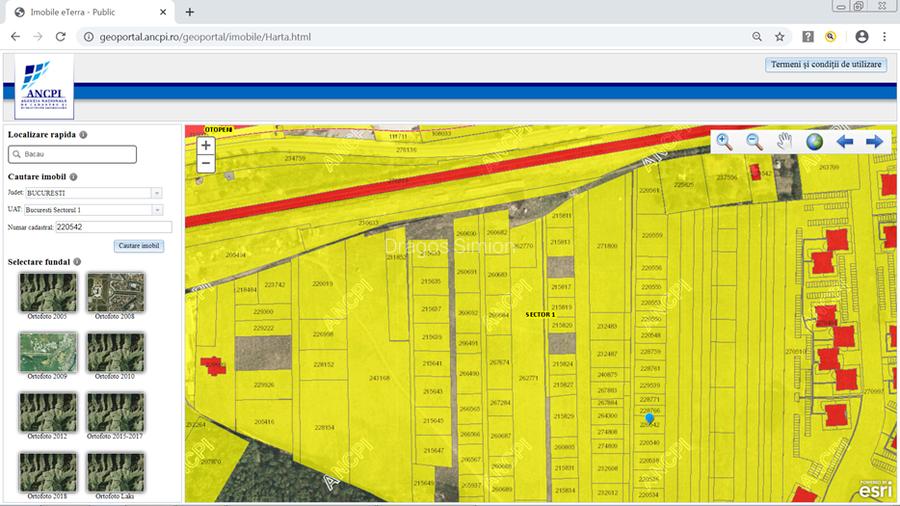 Sector 1, Padurea Pustnicu, Aleea Teisani - 3