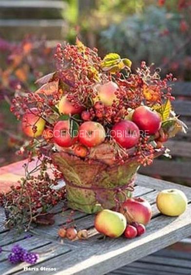 FILM! Castelariu: spectacol panoramic, locatie prestigioasa, exclusivist confort - 14