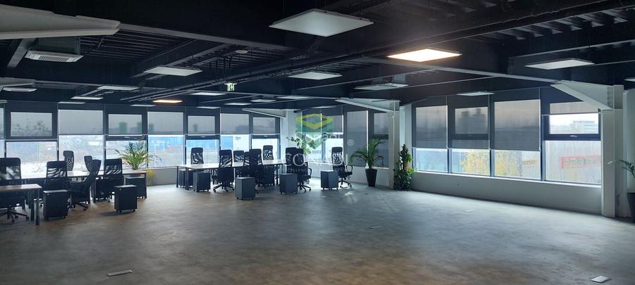 Ready to move in I HALA depozitare si birouri I MOGOSOAIA - 4