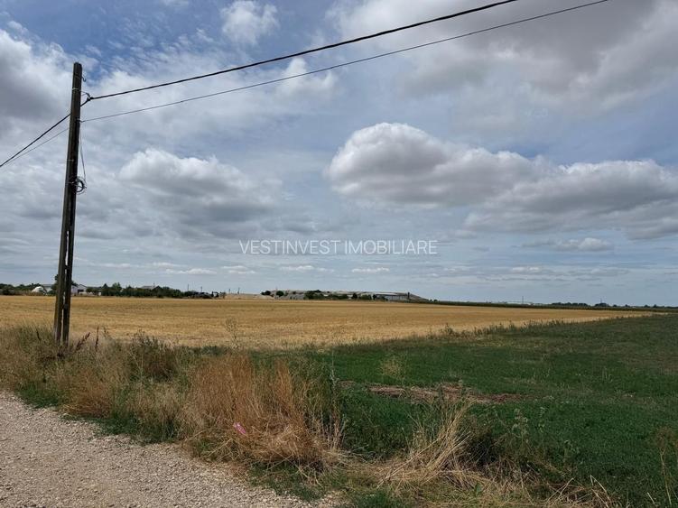 Teren Extravilan Episcopia - 3