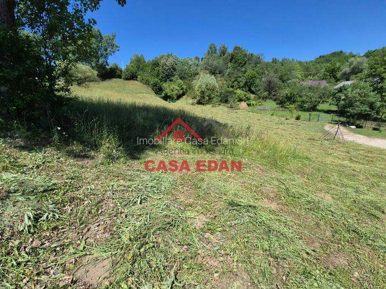 ●Teren intravilan in Breaza 4852mp 17e/mp● - 6