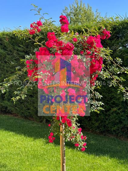 Vila spectaculoasa de vanzare - Platou Gavana - 12