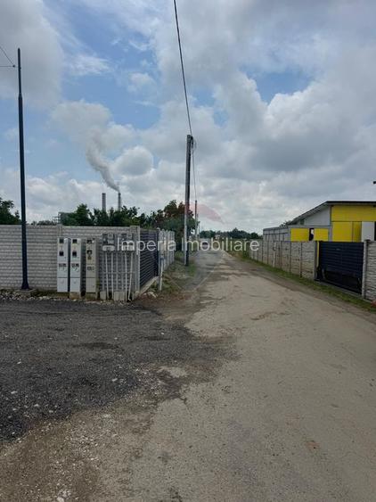 1.134 mp cu front 39,4 ml - Briera Valcii- Intrare din Centura de Nord - 11