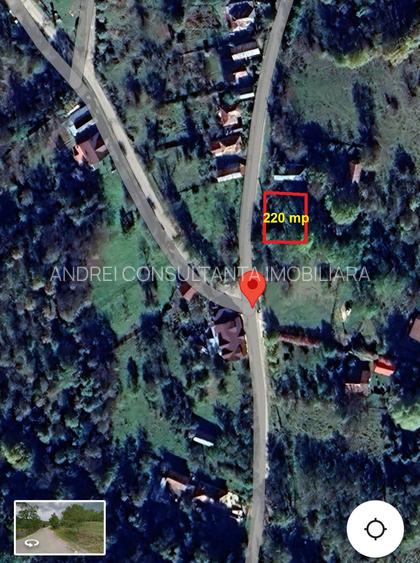 8000 Euro vanzare 220 mp teren asfalt apa gaz si curent Cosminele Prahova superb - 13