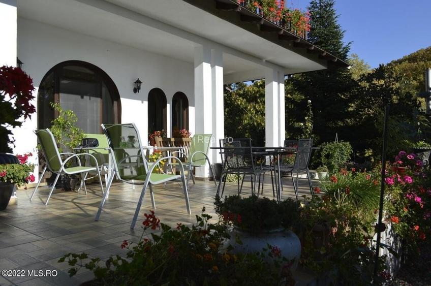 Topoloveni - Conacul Ion Mihalache, Domeniu pe 5 Hectare! - 2