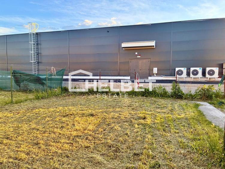 3 CAMERE / PET-FRIENDLY / SÂNPETRU / CURTE - 18