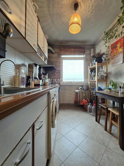 Baba Novac, apropiere Parc IOR si Mall Park Lake - 13