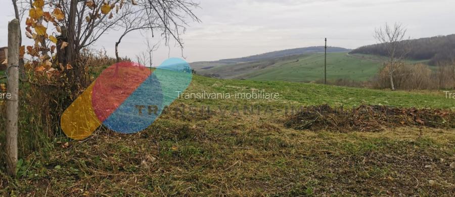 Casa individuala 1 camera, 51 mp, 3000 mp teren, Geaca - 4