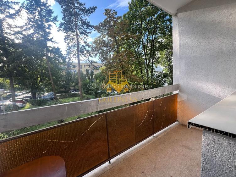 2 camere decomandate, Gheorgheni, FSEGA,Unirii, Iulius Mall, Lidl - 7