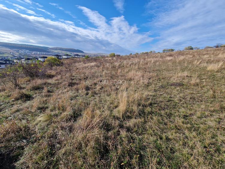 Teren Intravilan constructii 5500 mp  cu Puz In Chinteni - 3