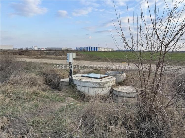 Teren vanzare 3 ha Clinceni - ideal pentru dezvoltare! - 2