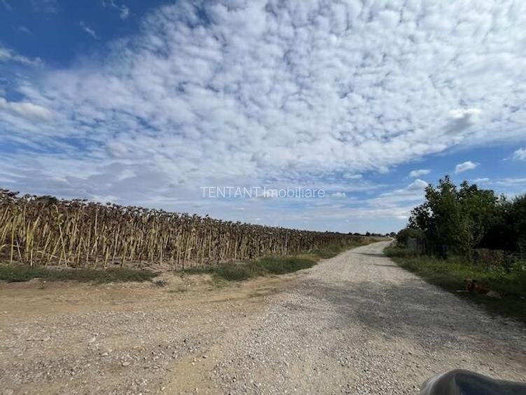 Terenuri pentru constructie rezidentiala Moara Vlasiei, 10 min de Bucuresti - 3