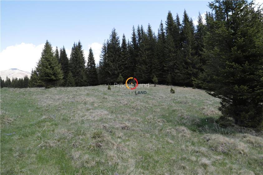 terenuri speciale Padina Busteni - 6