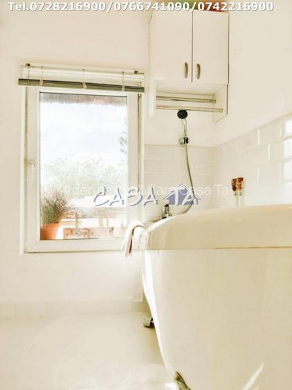 Inchiriere casa cocheta, situata in Tetila (Curtisoara Gorj) - 17