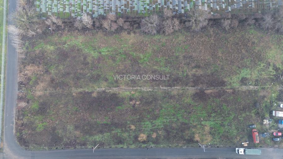 Teren Splaiul Unirii - Iuliu Hatieganu - 4