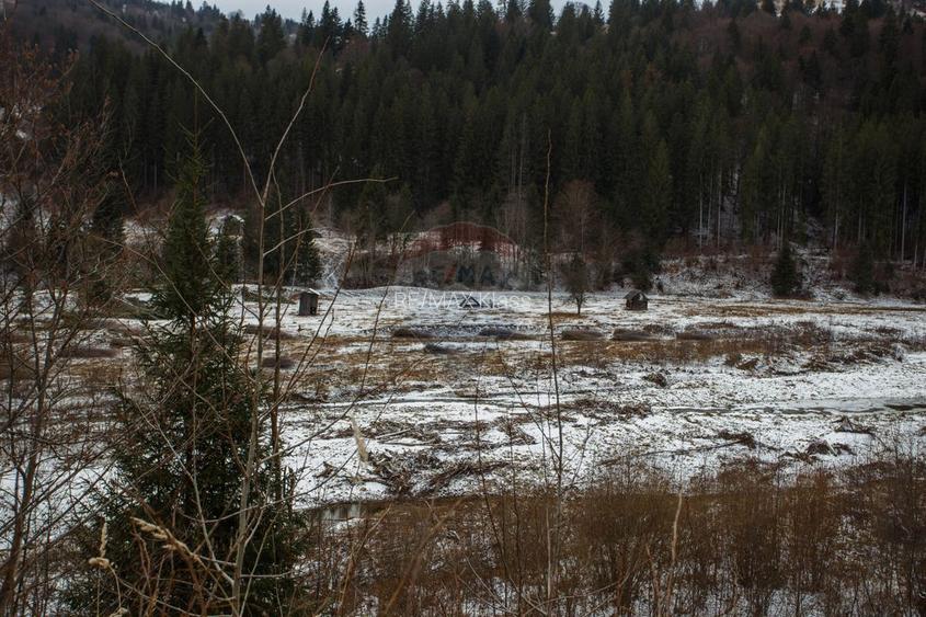 De vanzare | Teren Intravilan | Sat Sabasa, Comuna Borca, Neamt | - 6