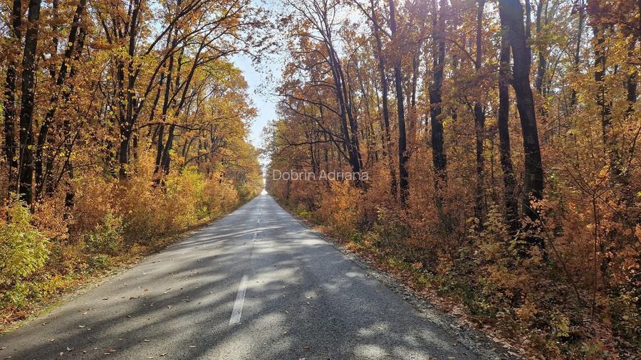 Casă nouă 3 camere 2 băi Parc Natural Comana Vlad Țepeș proprietar - 7