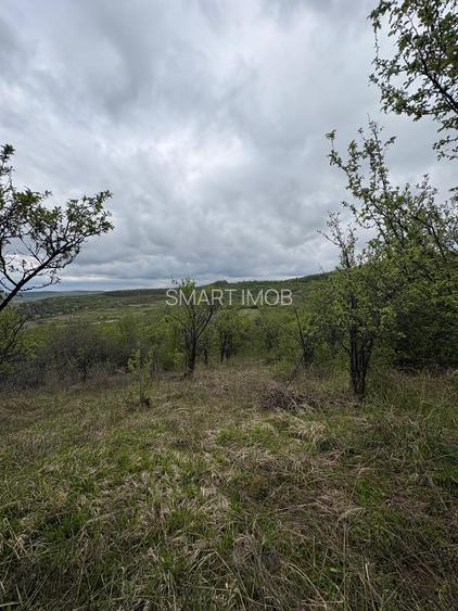 Teren extravilan 2900mp acces la 2 drumuri 48.500 eur neg - 7