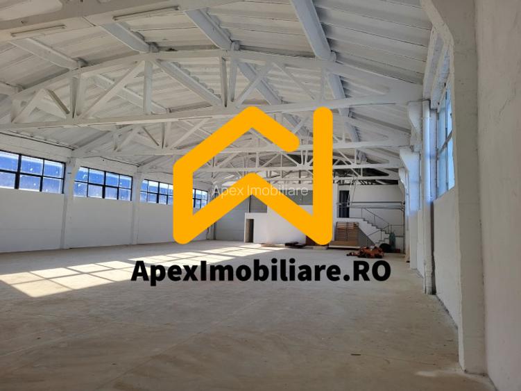 Hala Industriala Xenia – 1800 mp, Acces TIR, Parcare 50 Auto - 15