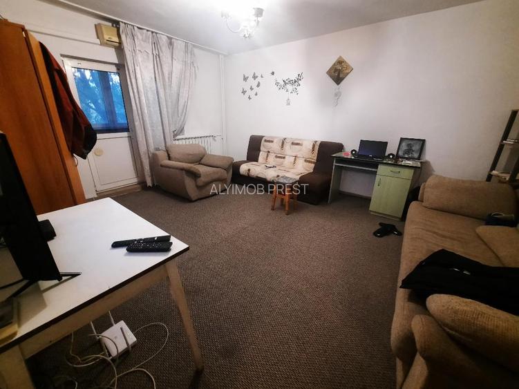 VANZARE 2 CAM 13 SEPTAMBRIE- NEDELEANU ION - 9