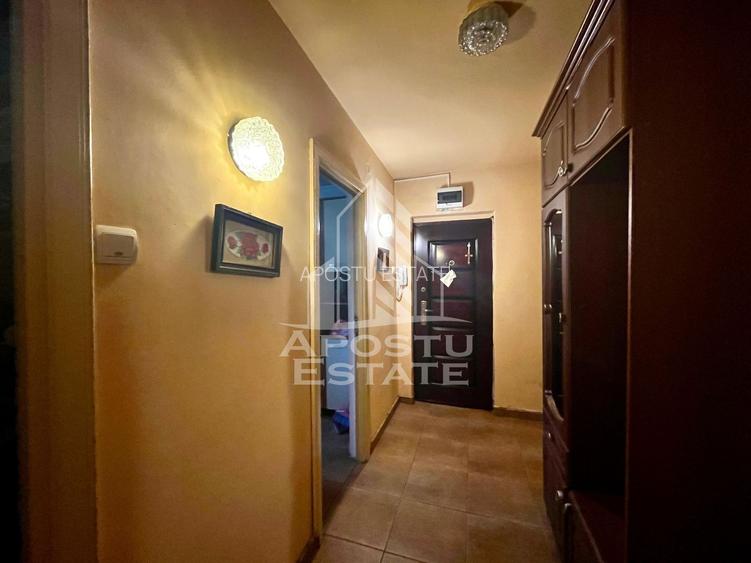 Apartament 4 camere de vanzare, zona Take Ionescu, Timisoara - 16