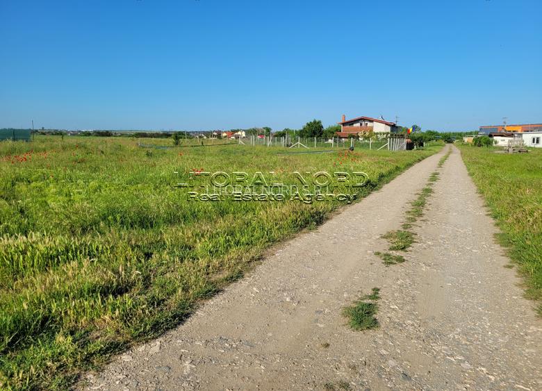 Exclusivitate-Techirghiol, teren intravilan, 305 mp, deschidere la strada de 17m - 9