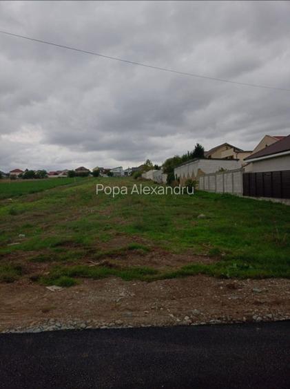 Proprietar ,teren intravilan 1000mp ,Str. Islazului ,Valu Lui Traian - 3