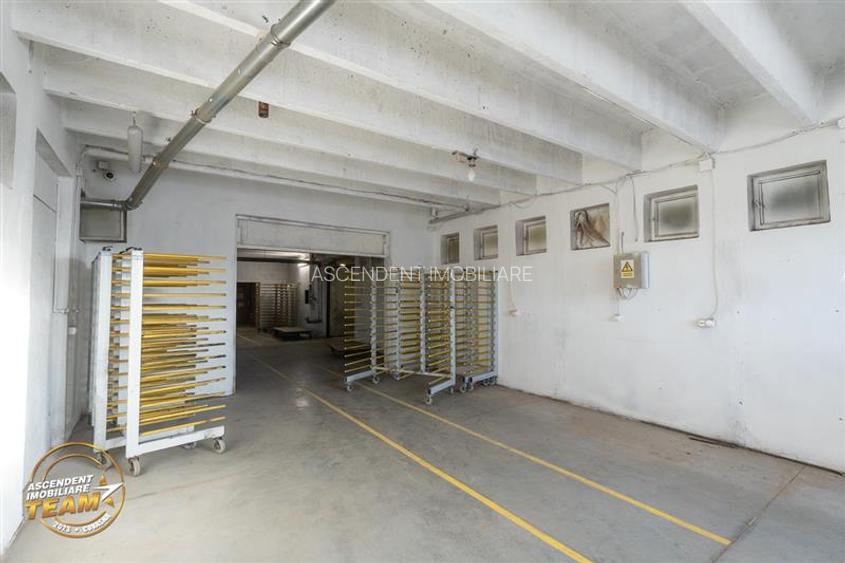 Complex industrial modern,acces dublu, potential apreciabil,Valea Crișului, - 21