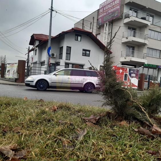 Investiția perfectă - Imobil gata închiriat pretabil orice activitate - 7