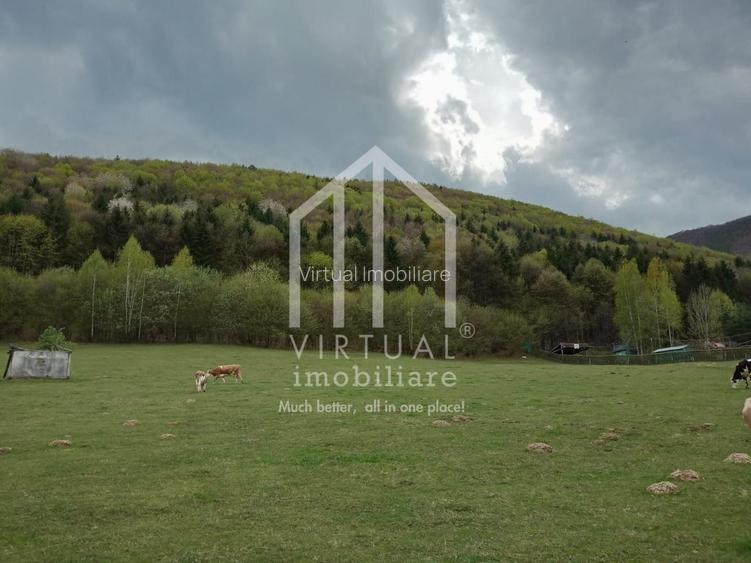 Teren intravilan de vanzare in Tocile, 3862 mp, priveliste spre padure - 5