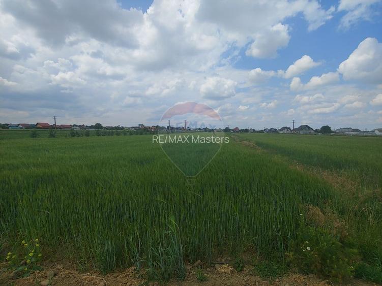 Teren intravilan 6,600mp Dumbraveni / Strada Principala spre Veresti - 5